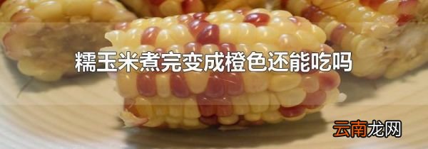 糯玉米煮完变成橙色还能吃吗