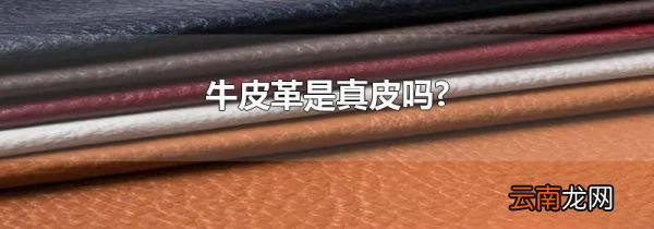 牛皮革是真皮吗?