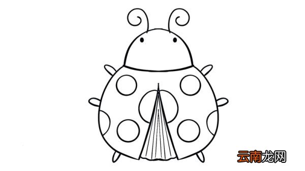 七星瓢虫简笔画 七星瓢虫简笔画怎么画