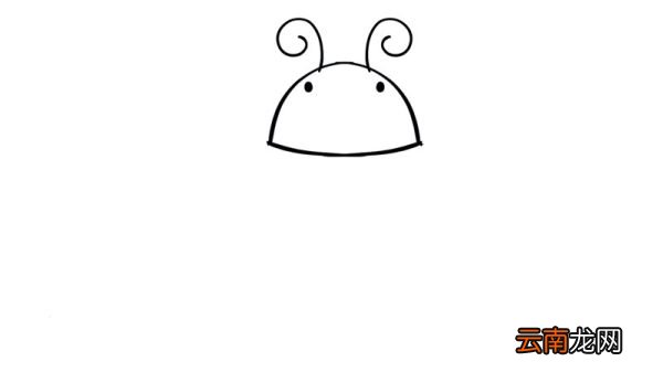 七星瓢虫简笔画 七星瓢虫简笔画怎么画