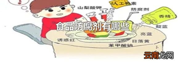 食品防腐剂有哪些