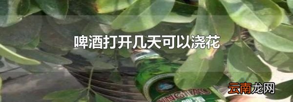 啤酒打开几天可以浇花