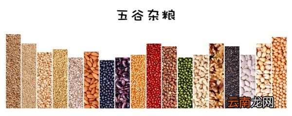 蛋白质含量高的食物 高蛋白质食物有哪些