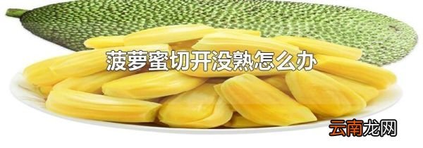 菠萝蜜切开没熟怎么办