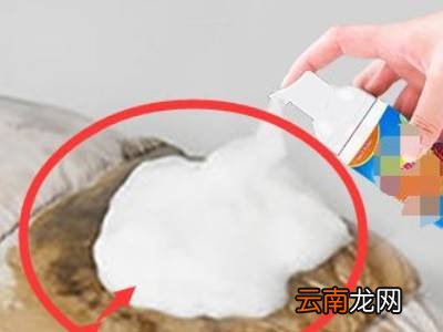 干洗剂怎么用