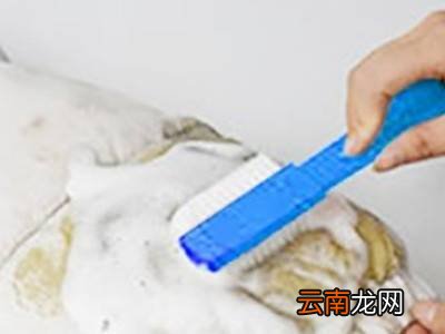 干洗剂怎么用