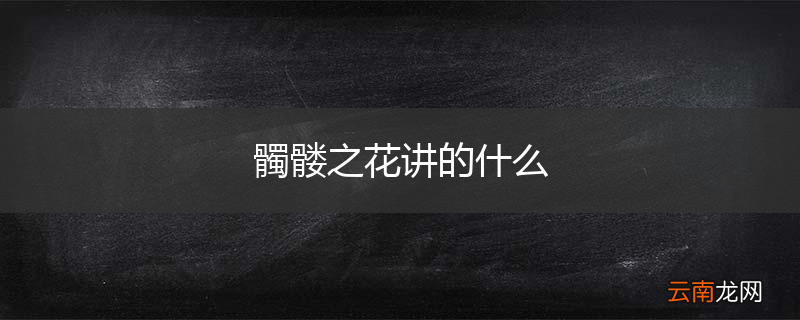 髑髅之花讲的什么