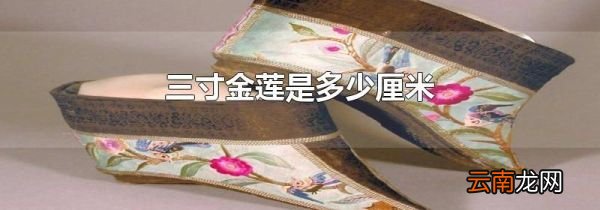 三寸金莲是多少厘米