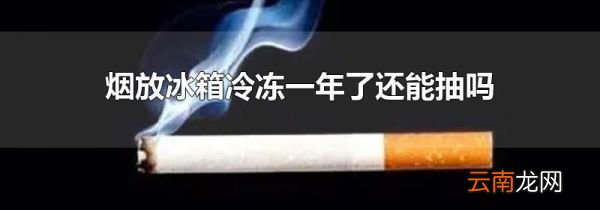 烟放冰箱冷冻一年了还能抽吗