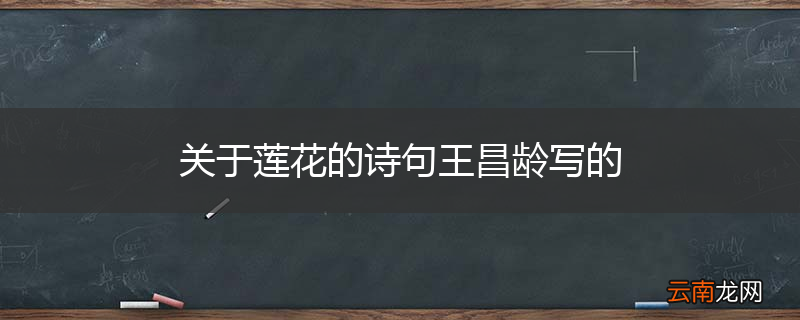 关于莲花的诗句王昌龄写的