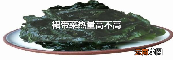 裙带菜热量高不高