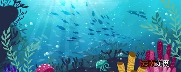 海底两万里主要内容50海底两万里概括简短