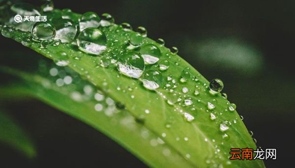 白露时节的诗词 白露时节的诗词都有哪些