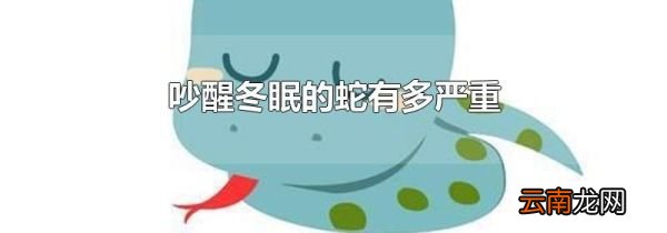 吵醒冬眠的蛇有多严重