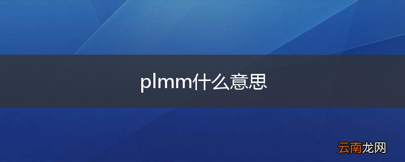 plmm什么意思