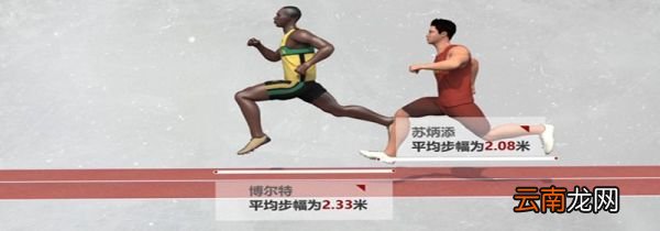 步幅与身高的关系