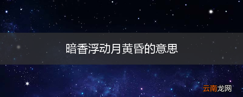 暗香浮动月黄昏的意思