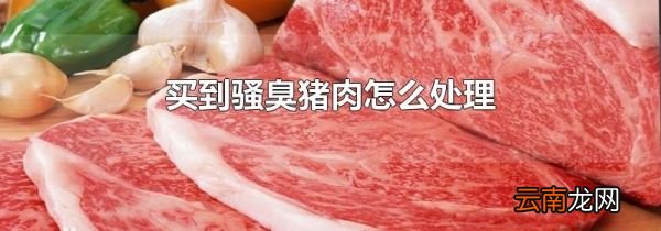 买到骚臭猪肉怎么处理