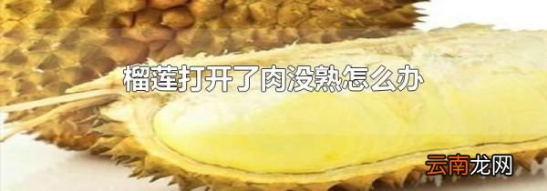 榴莲打开了肉没熟怎么办