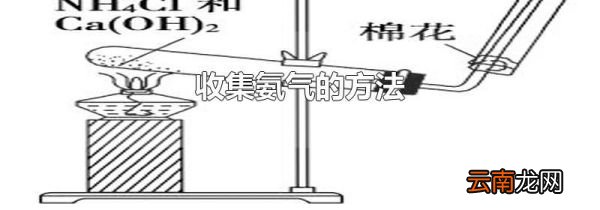 收集氨气的方法