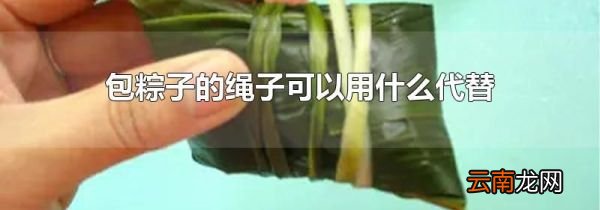 包粽子的绳子可以用什么代替