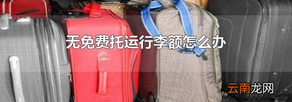 无免费托运行李额怎么办
