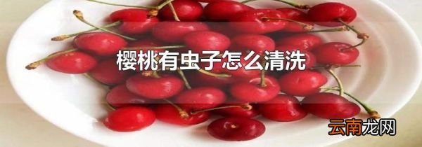 樱桃有虫子怎么清洗