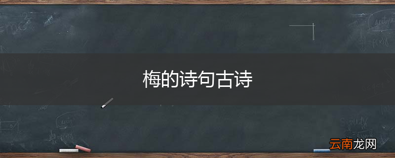 梅的诗句古诗