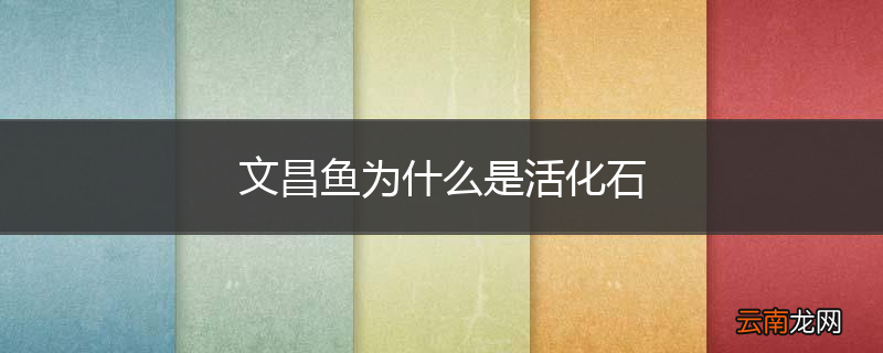 文昌鱼为什么是活化石