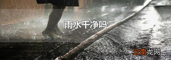 雨水干净吗