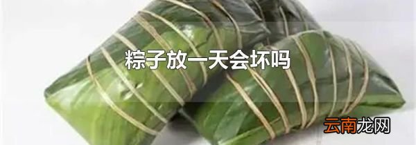 粽子放一天会坏吗
