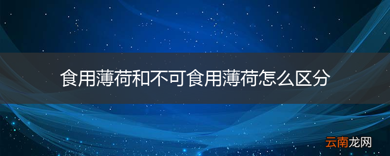 食用薄荷和不可食用薄荷怎么区分