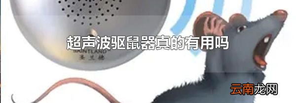 超声波驱鼠器真的有用吗