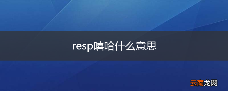 resp嘻哈什么意思