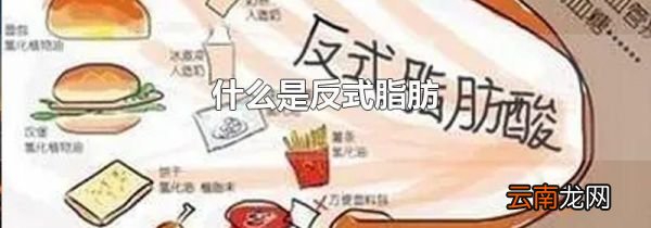 什么是反式脂肪
