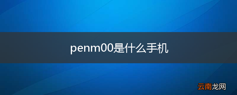 penm00是什么手机