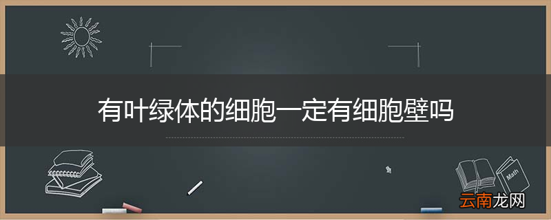 有叶绿体的细胞一定有细胞壁吗