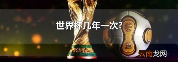 世界杯几年一次?
