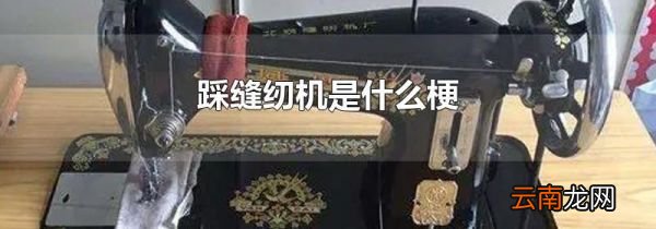 踩缝纫机是什么梗