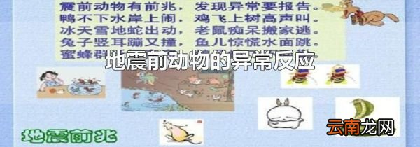 地震前动物的异常反应
