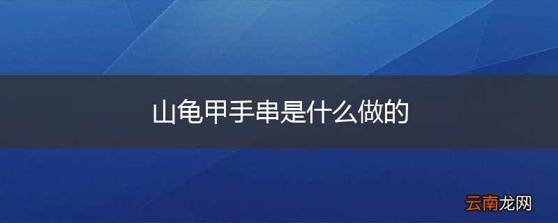 山龟甲手串是什么做的