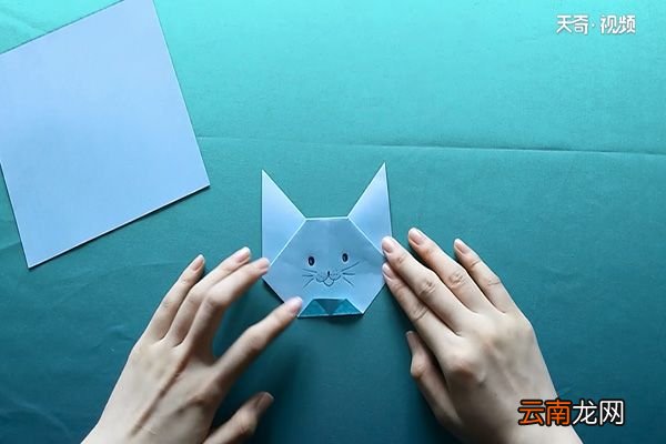 猫的折法