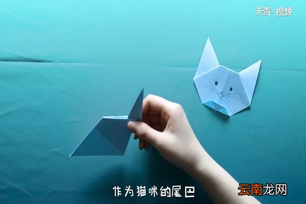 猫的折法