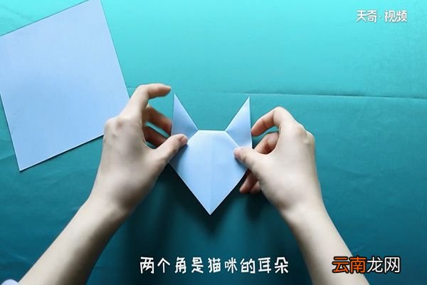 猫的折法