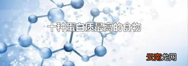 十种蛋白质最高的食物