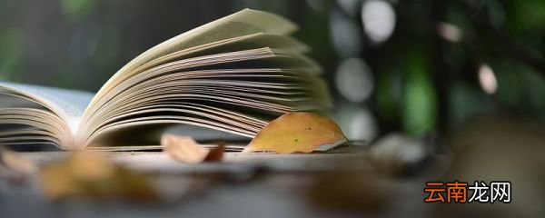 少小离家老大回 全诗 回乡偶书二首·其一翻译