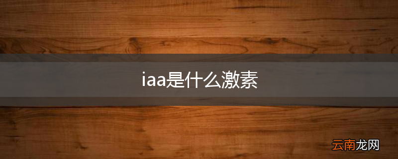 iaa是什么激素