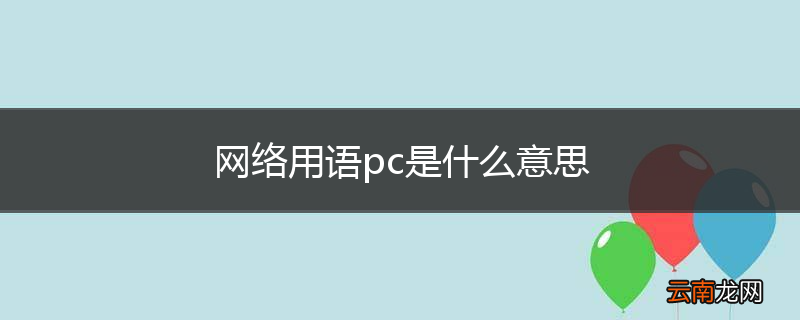 网络用语pc是什么意思