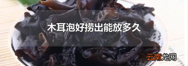 木耳泡好捞出能放多久