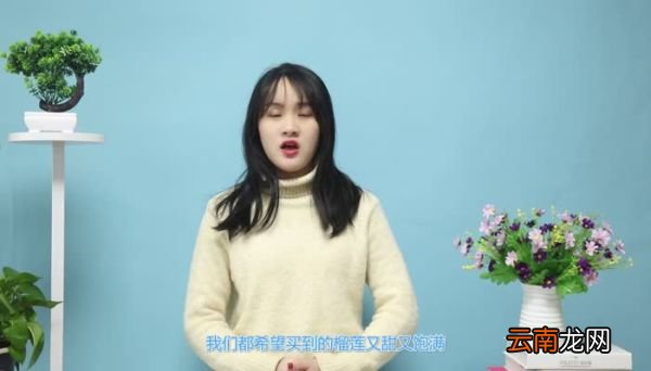 榴莲怎么挑 怎样挑榴莲